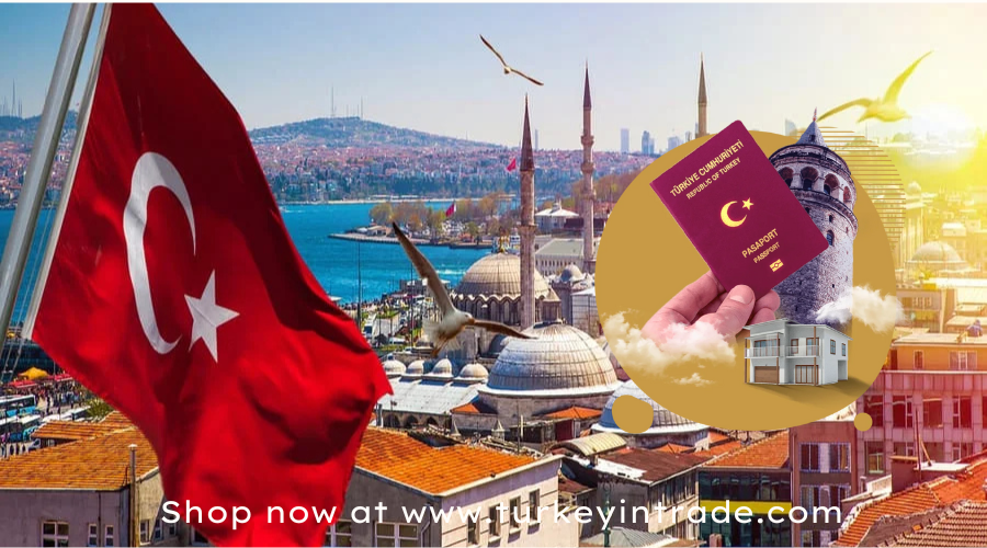 Realestate Investment Turkey